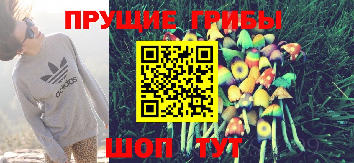Миасс  Псилоцибиновые грибы мицелий  Псилоцибиновые грибы Cubensis  Вход с VPN 
